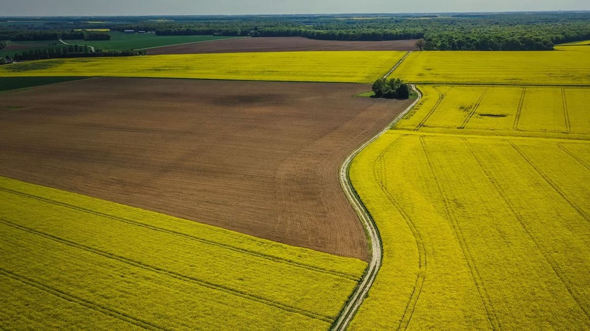 investir dans la terre agricole