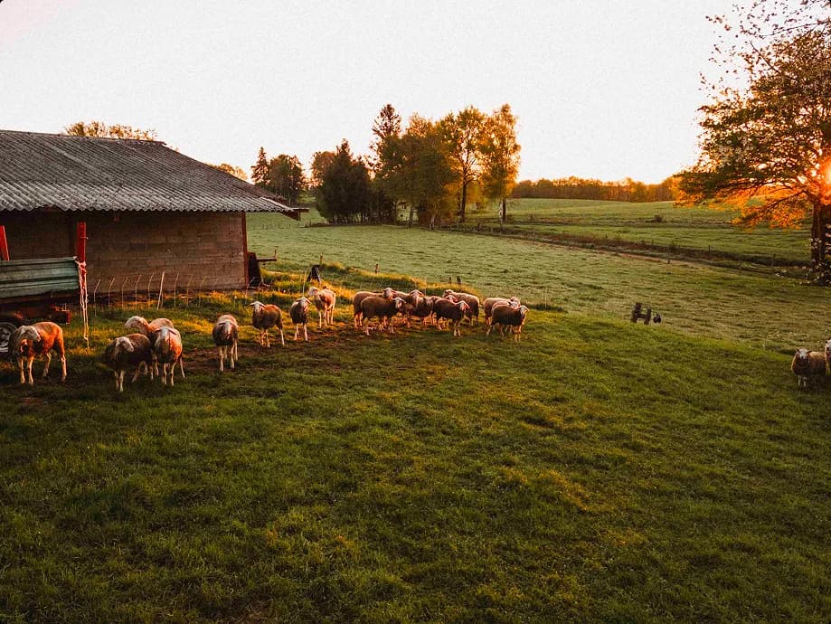 __wf_reserved_inherit