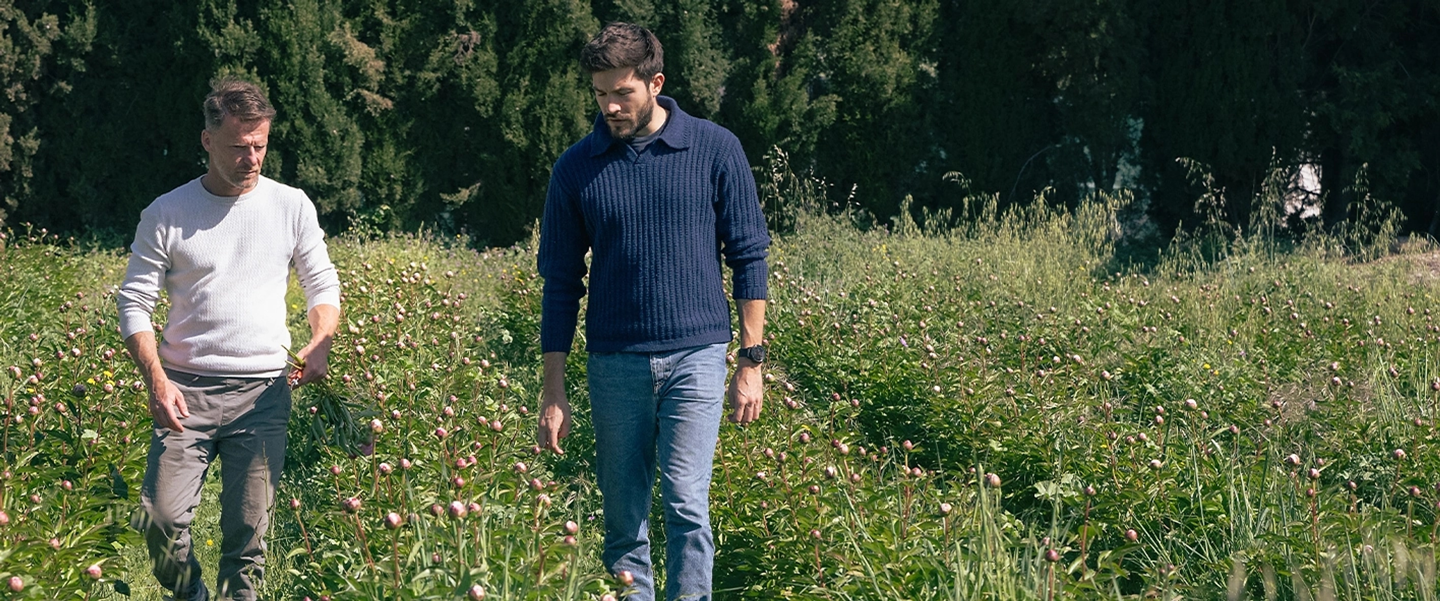 Guide installation agricole - Hectarea