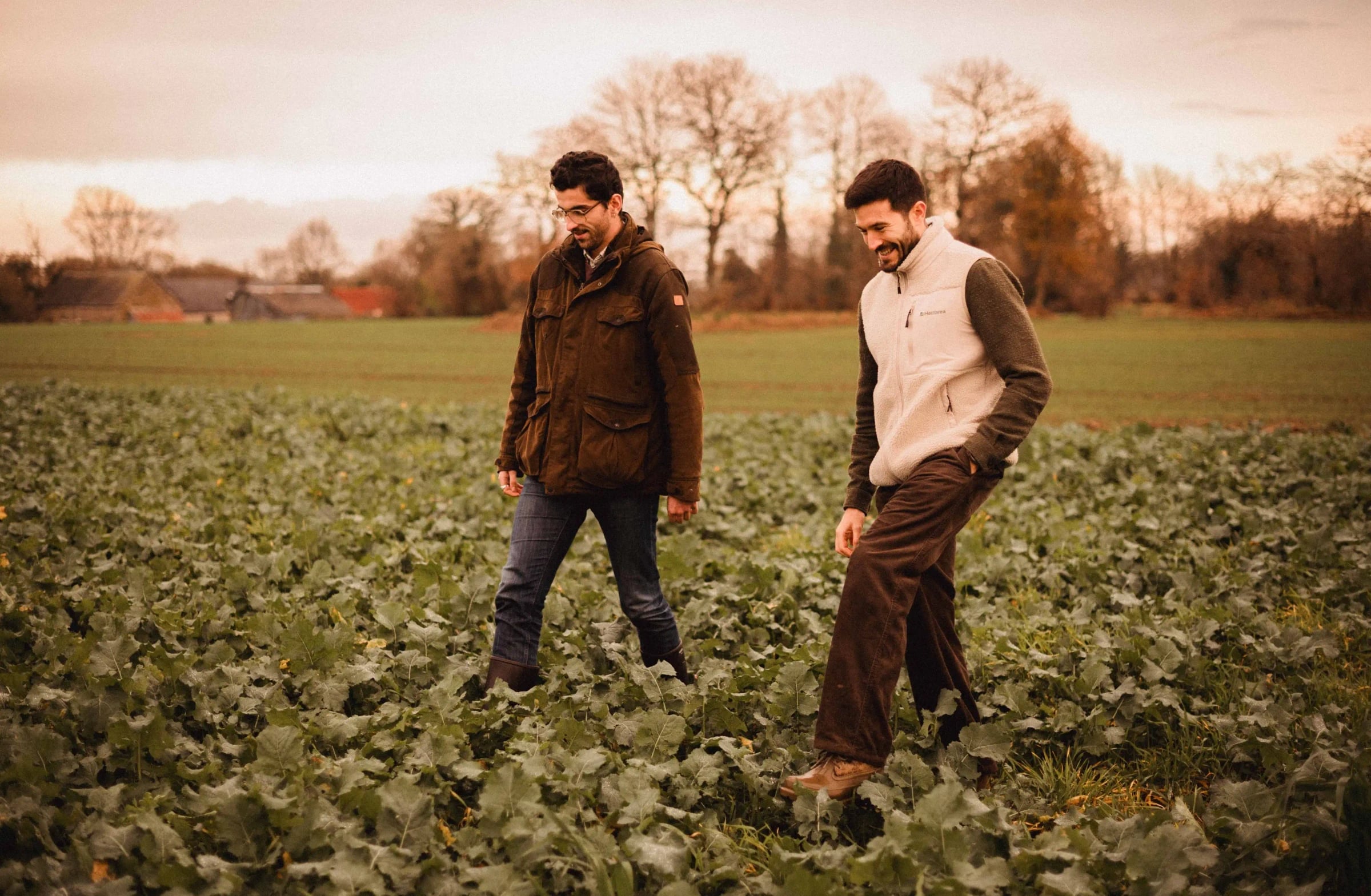 Hectarea - Accompagnement investissement direct terre agricole