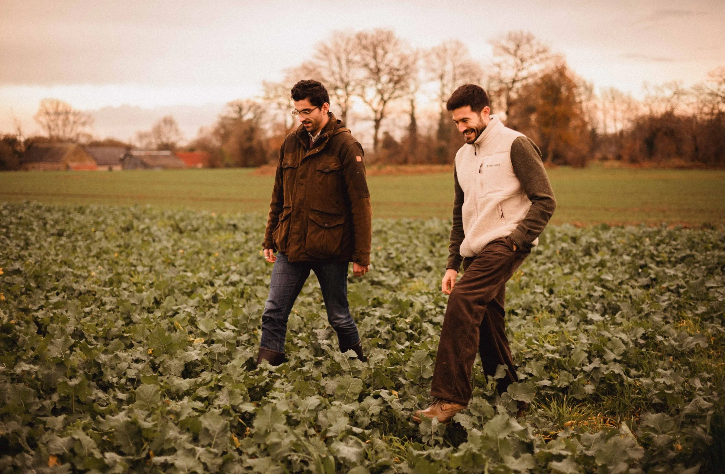 Hectarea - Accompagnement investissement direct terre agricole