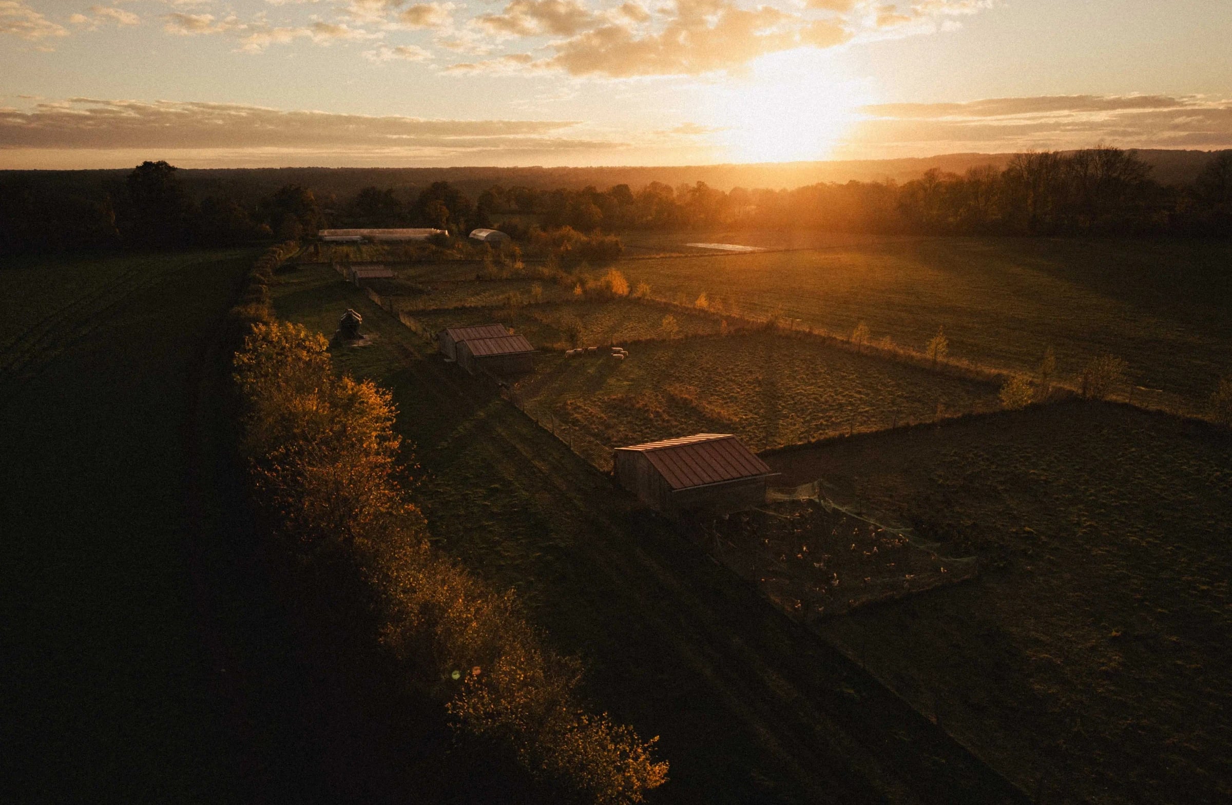 Investissement direct dans la terre agricole - Avantages fiscaux Hectarea