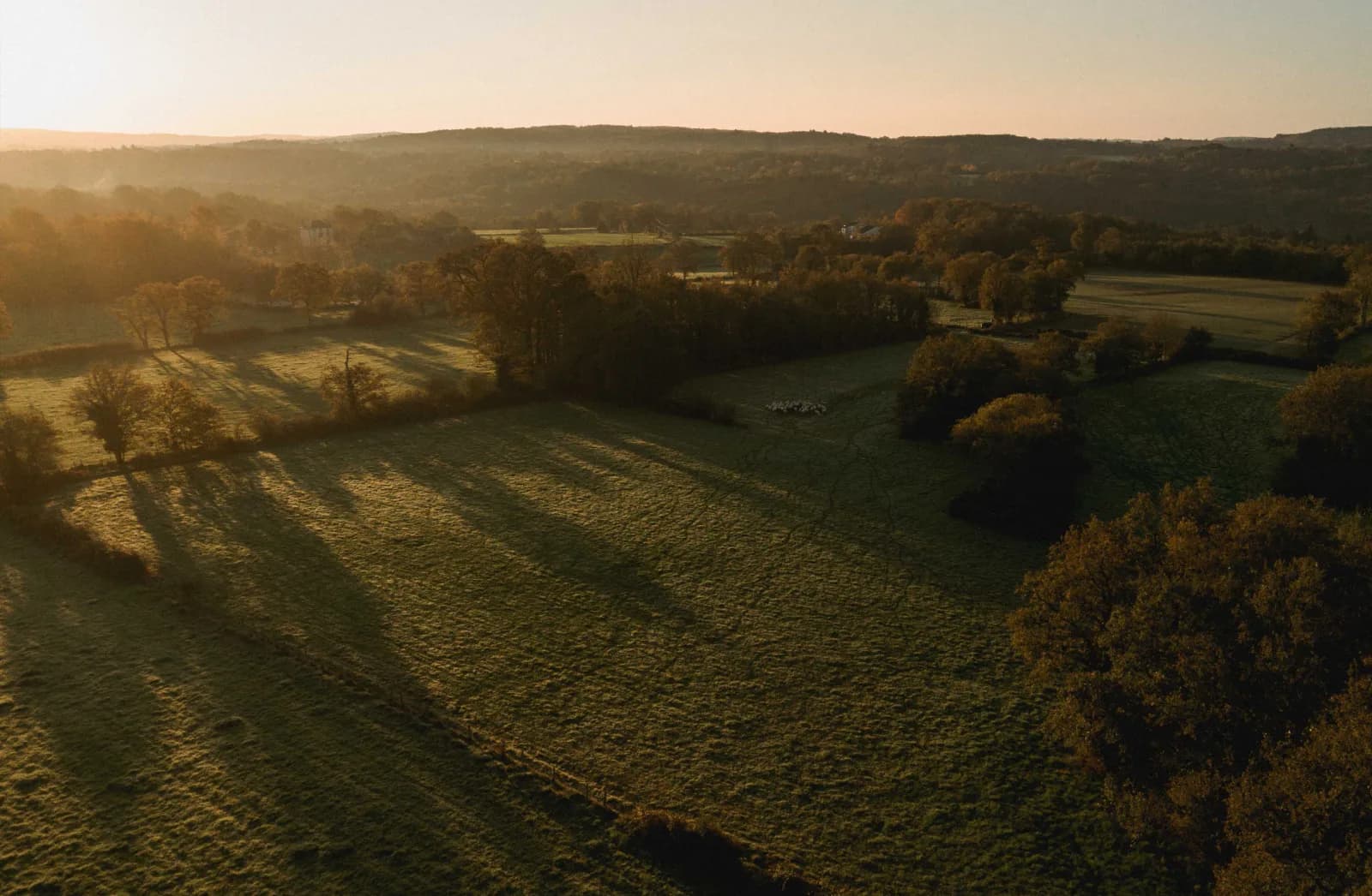 Hectarea - Épargne durable et stable