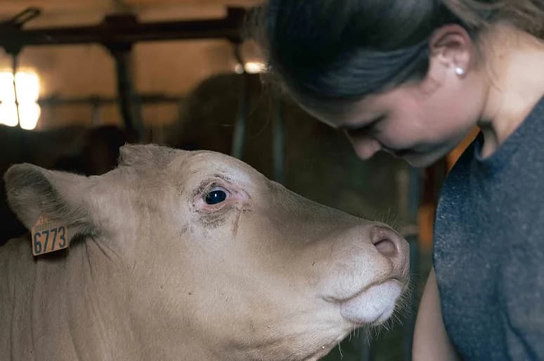 Rapport d'impact Hectarea - engagement mission agriculture durable