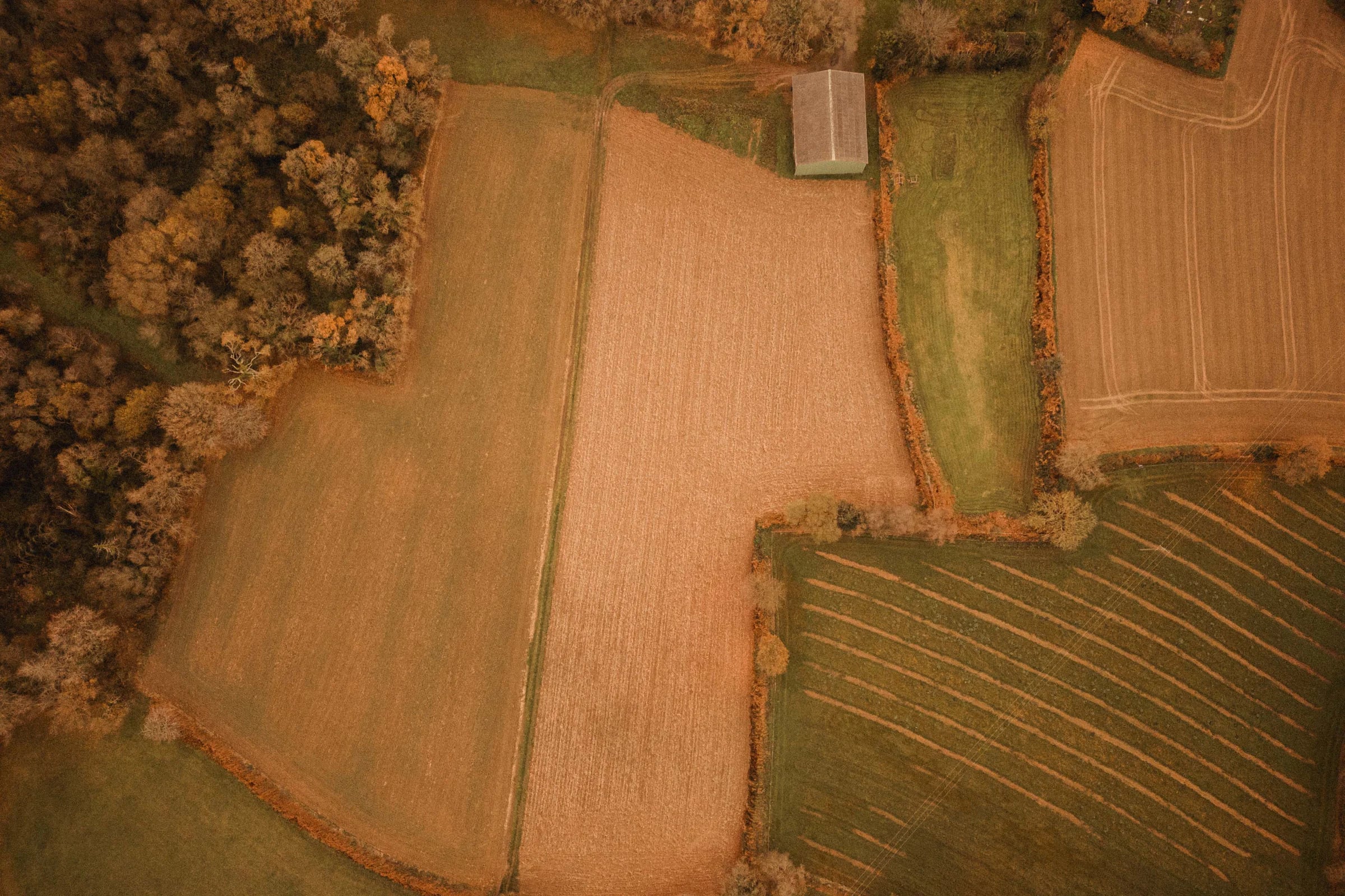 Parcelles agricoles vues du ciel à l'automne