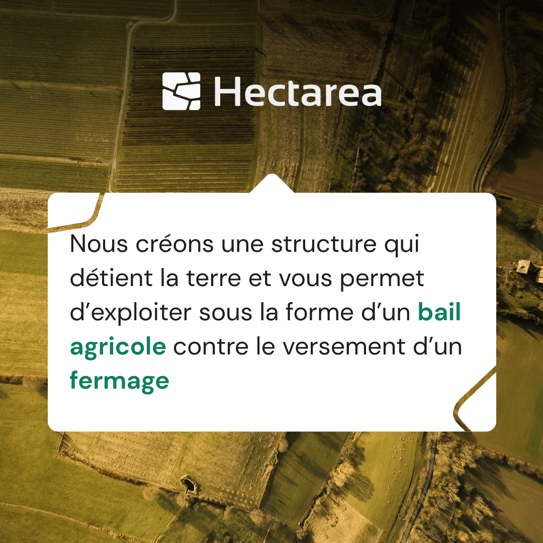 Hectarea, votre partenaire pour financer votre projet de foncier agricole