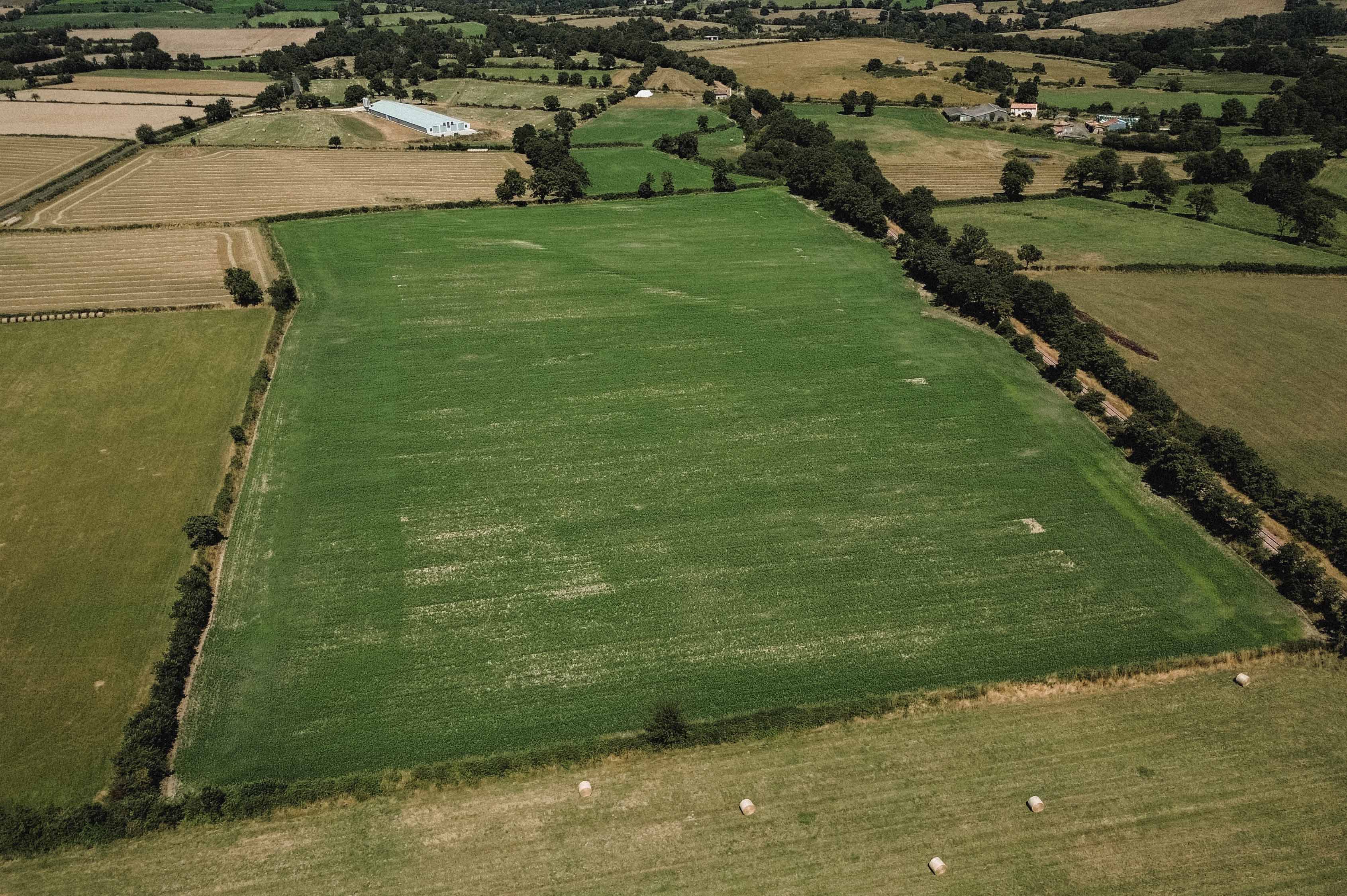 Investir dans la terre agricole : 7 raisons durables