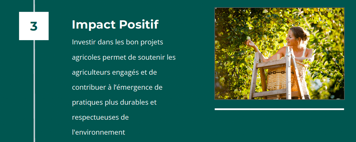 Impact Positif