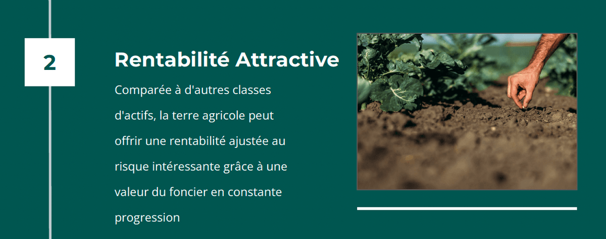 Rentabilité Attractive