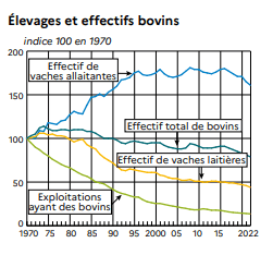 Élevages et effectifs bovins en France