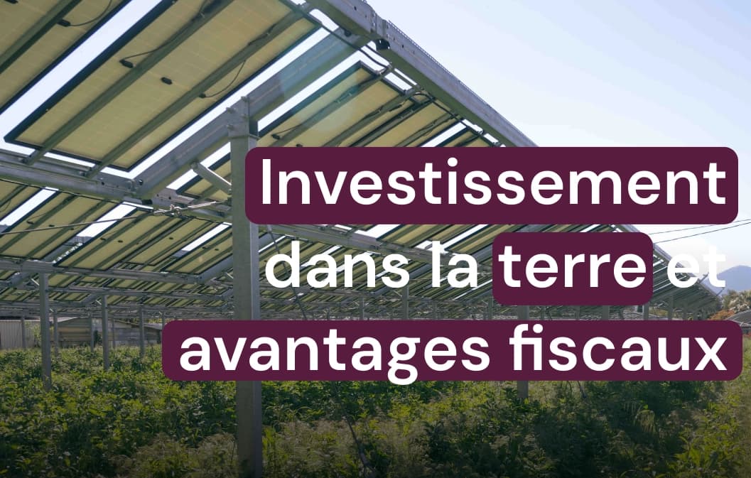 Investissement Agricole et Niches Fiscales : le 150 0B TER