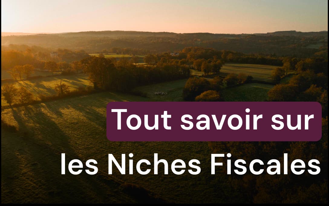 Tout savoir sur les niches fiscales pour réduire votre impôt