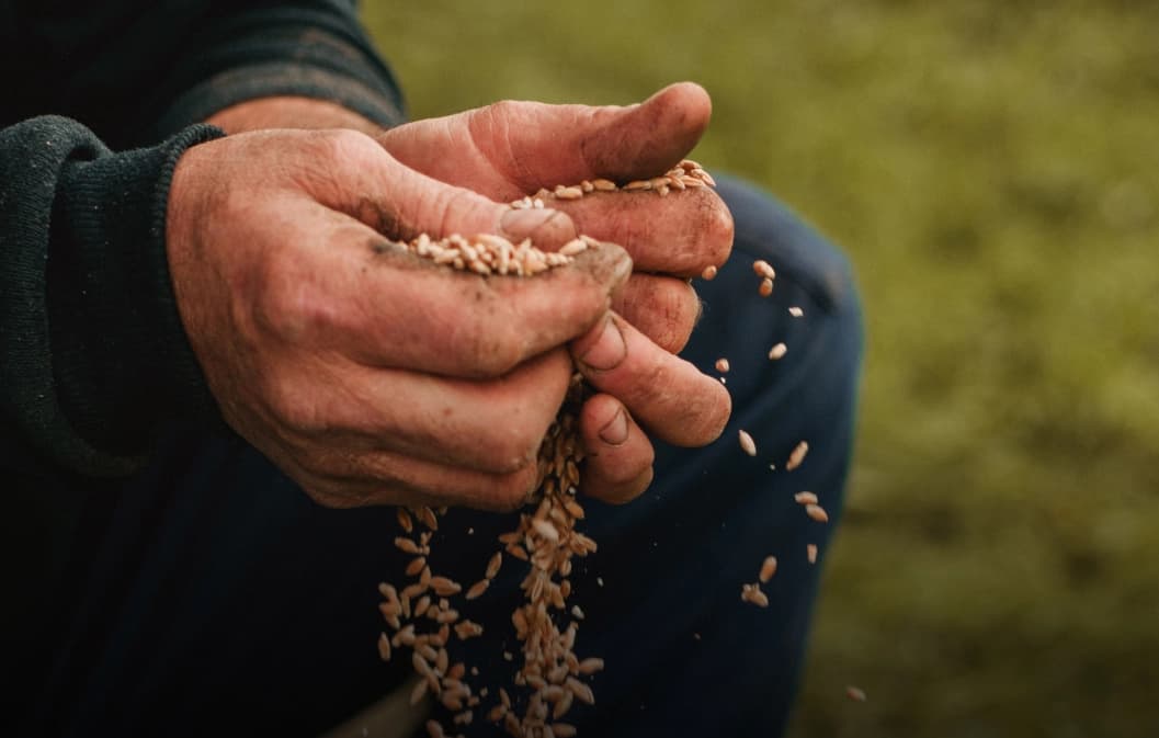 Argent : conseils et erreurs à éviter pour ses investissements