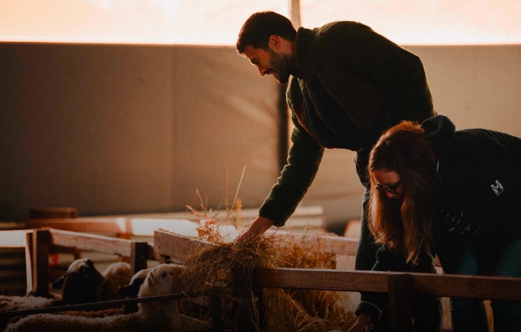 Startups à impact et finance durable : vers un monde plus durable