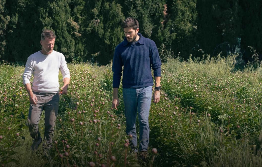 Achat d'un terrain agricole ? Zoom sur les 4 solutions d'Hectarea