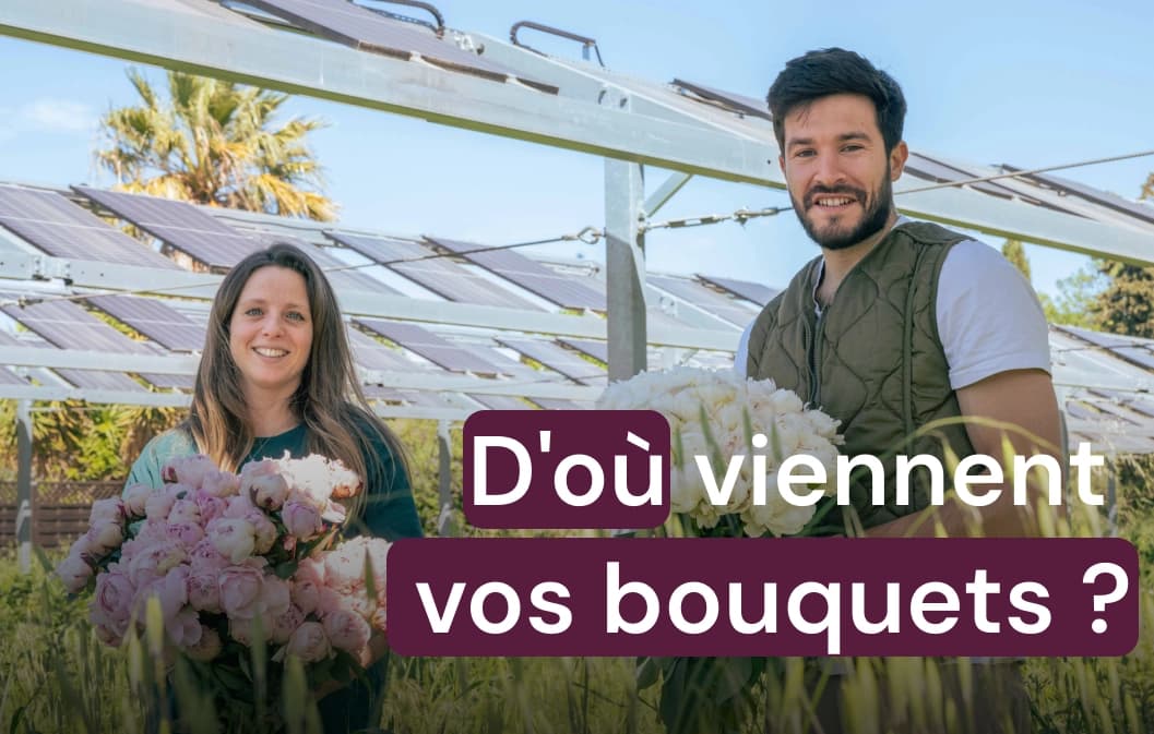 Fleurs de France : savez-vous d'où viennent vos bouquets ?