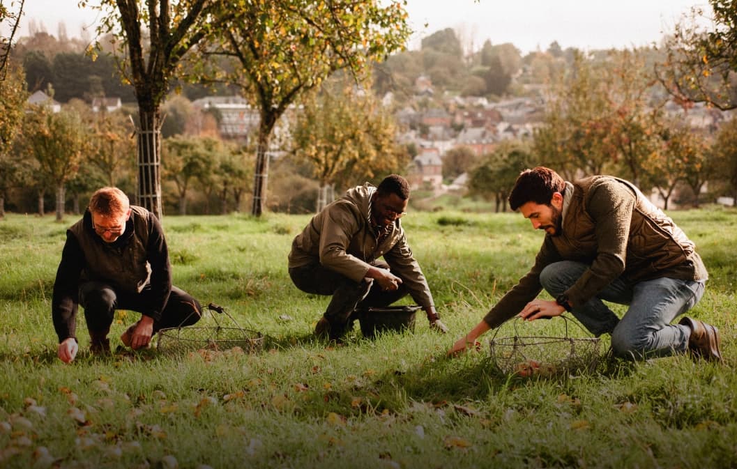 Actualités agricoles : comment soutenir les agriculteurs ?