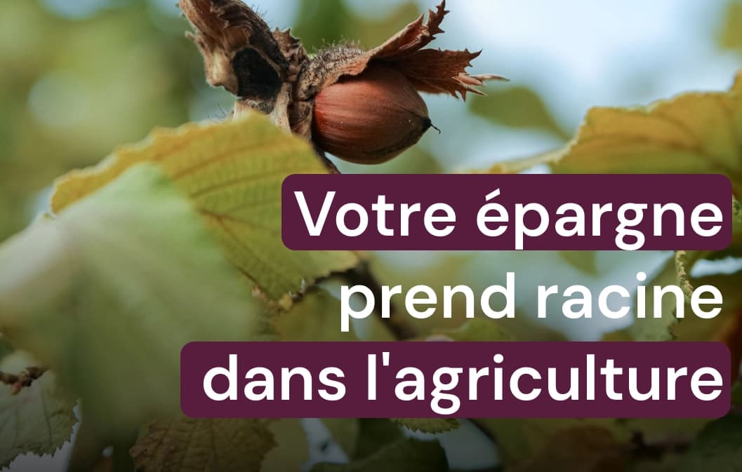 Comprendre le Livret A : Avantages, Fonctionnement et Limites