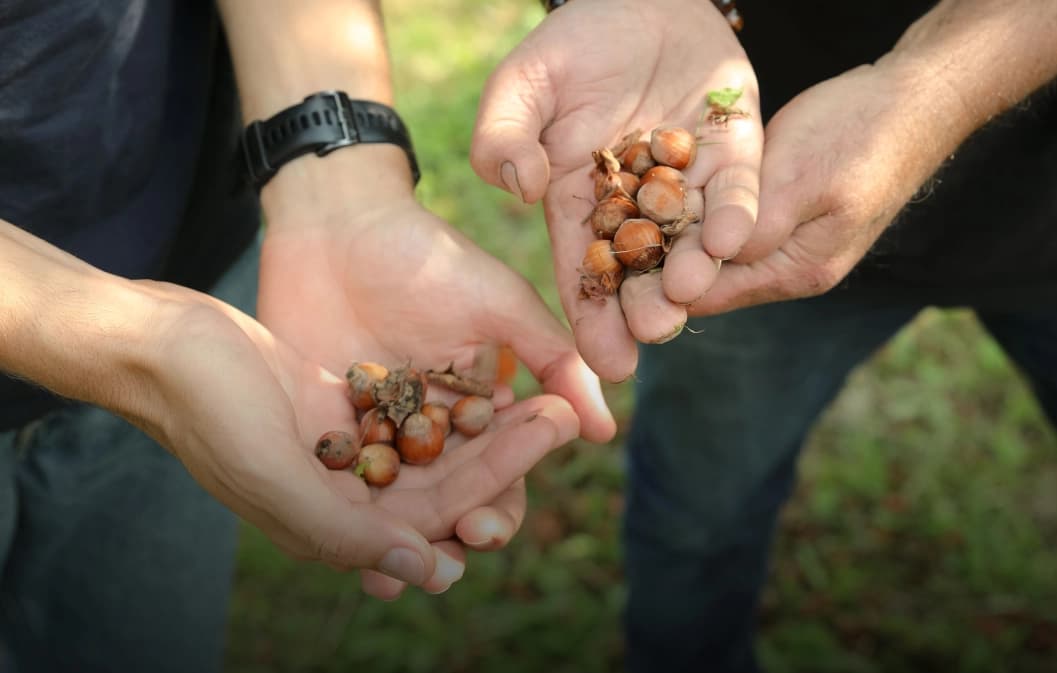 Impact positif avec l'immobilier fractionné agricole