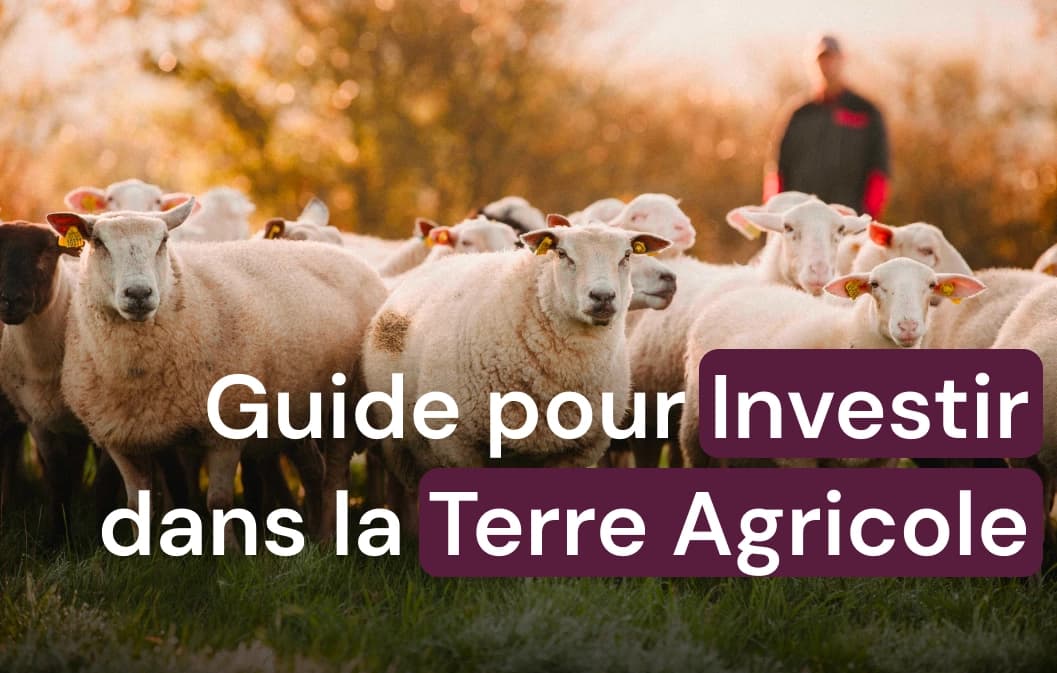 Guide pour investir dans la terre agricole