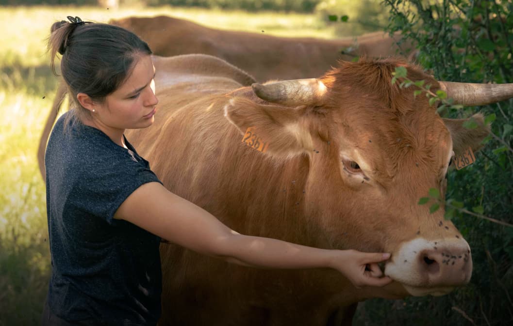Terre agricole : reconnecter grand public et agriculteurs