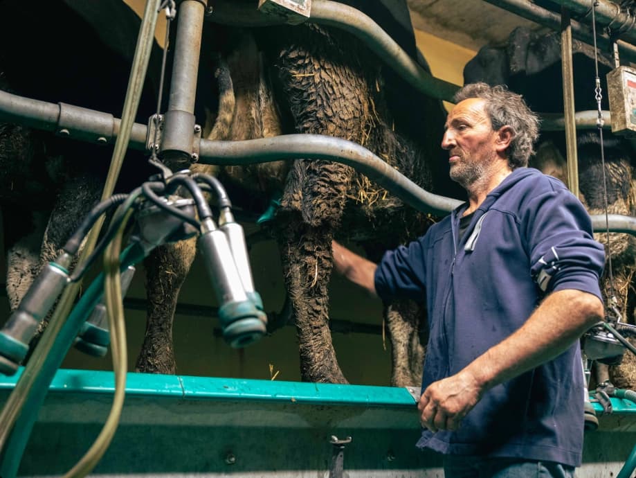 __wf_reserved_inherit