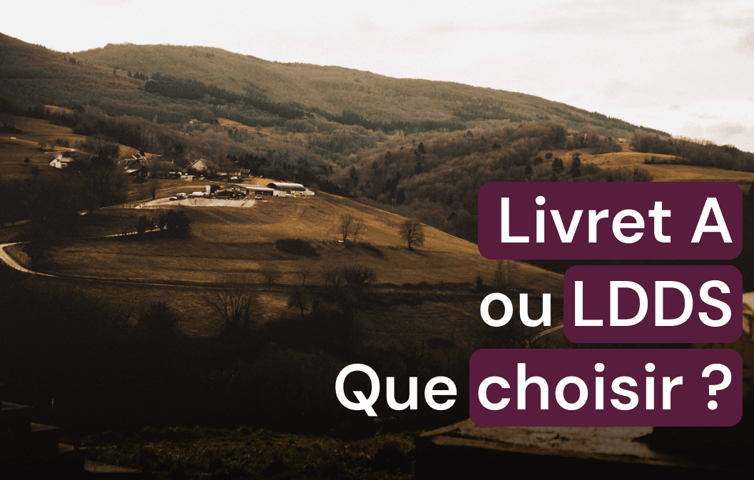 Livret A ou LDDS : comment choisir le meilleur placement ?