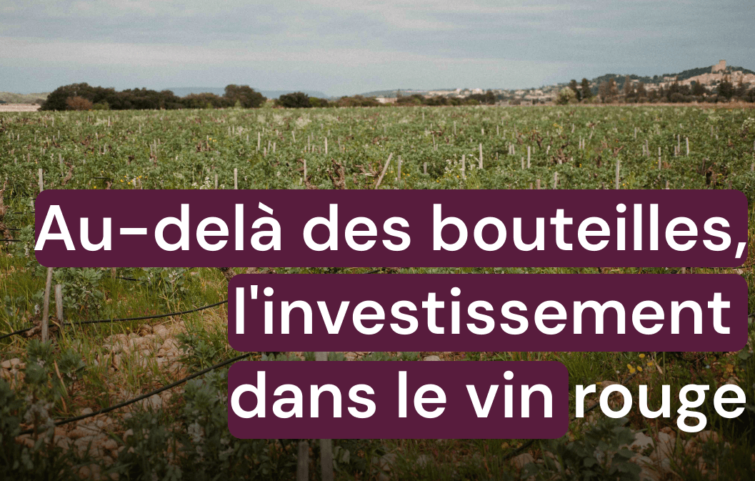 Au-delà des bouteilles, l'investissement dans le vin rouge