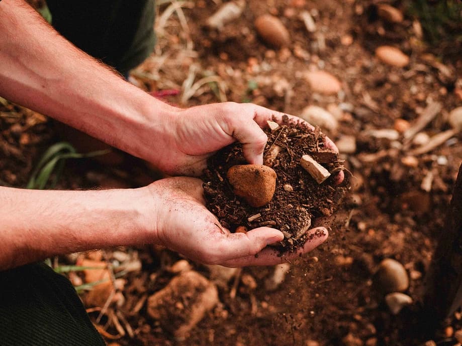 __wf_reserved_inherit