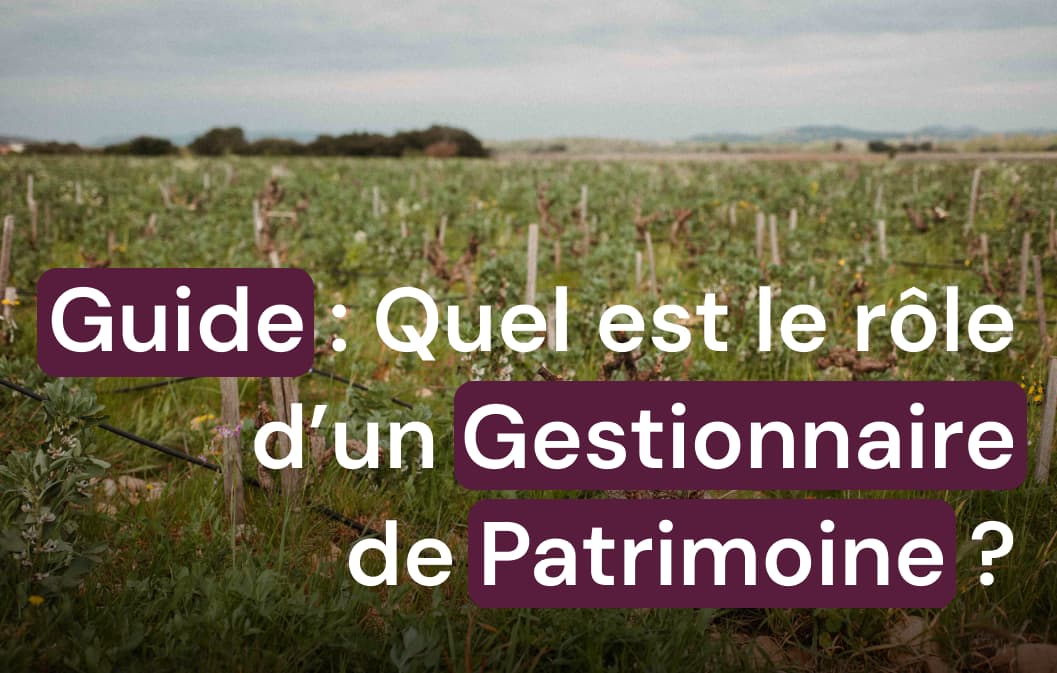 Gestion de patrimoine : bien plus qu’une simple épargne
