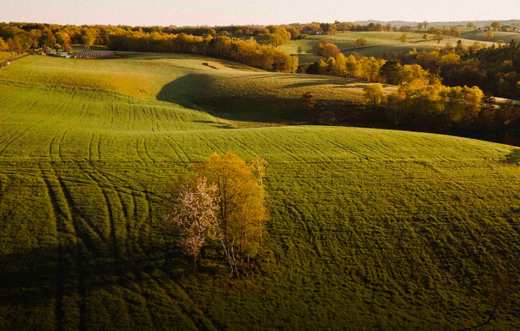 Investissement terres agricoles : Terre de Liens et Hectarea