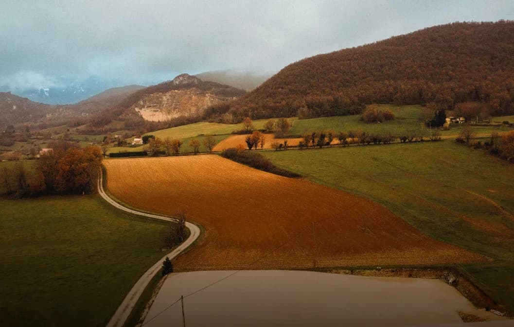 Assurance-vie Nalo ou Hectarea : quel placement en 2026 ?