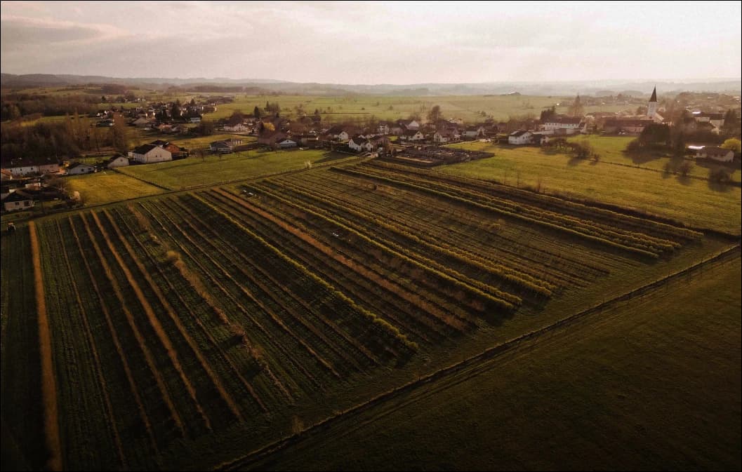 FEVE et Hectarea vers une agriculture agroécologique