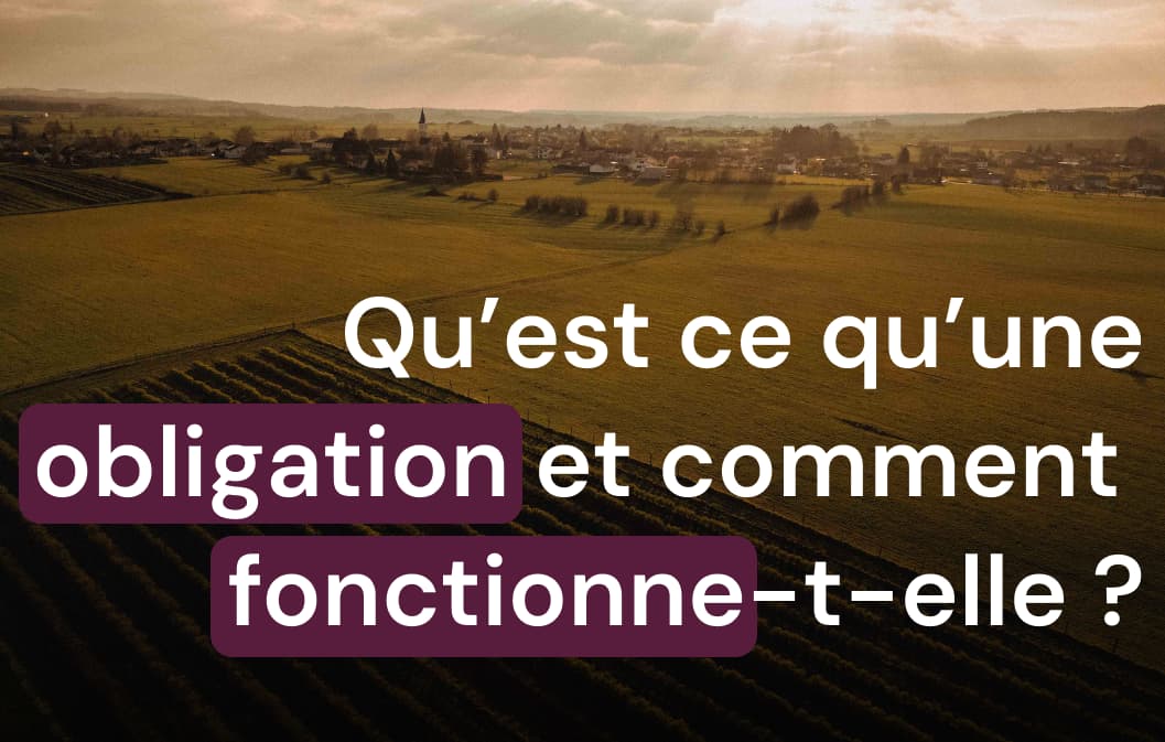 Tout savoir sur le fonctionnement des obligations