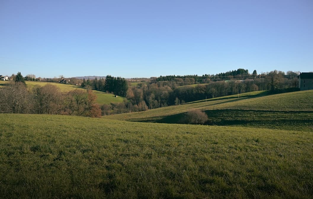 Goodvest ou Hectarea : quel investissement choisir ?