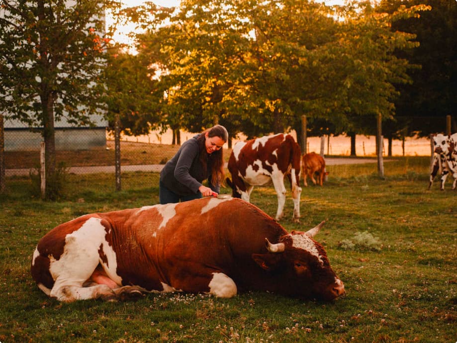 __wf_reserved_inherit