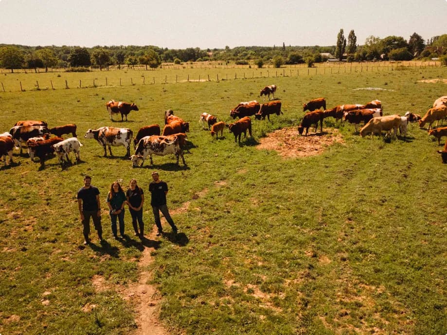 __wf_reserved_inherit