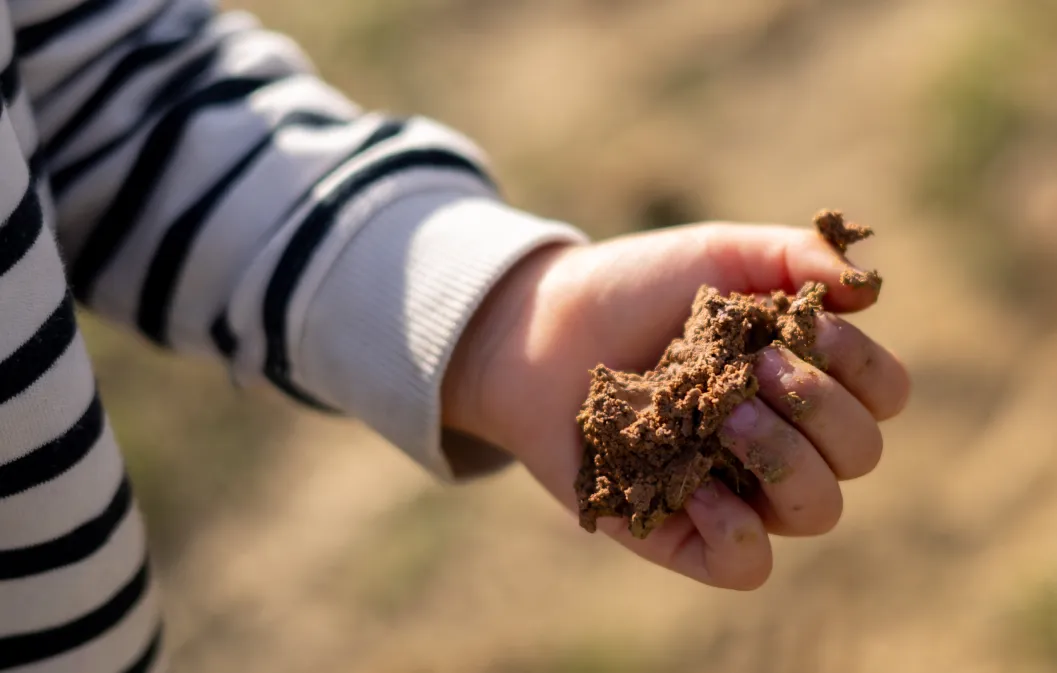 epargne enfant comparatif