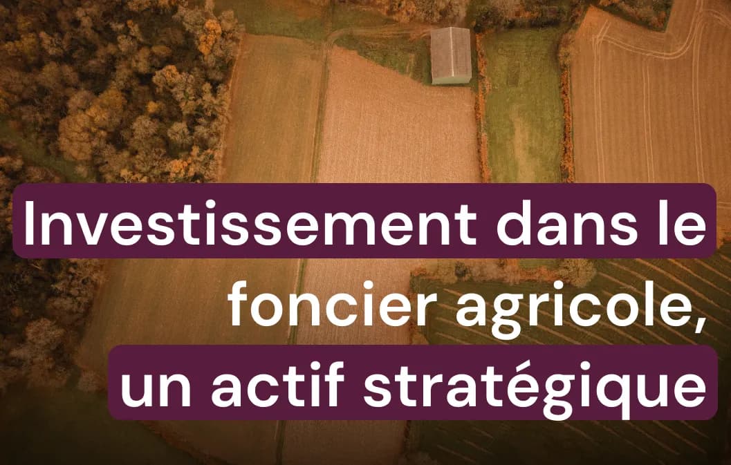 Investissement foncier agricole : un choix stratégique