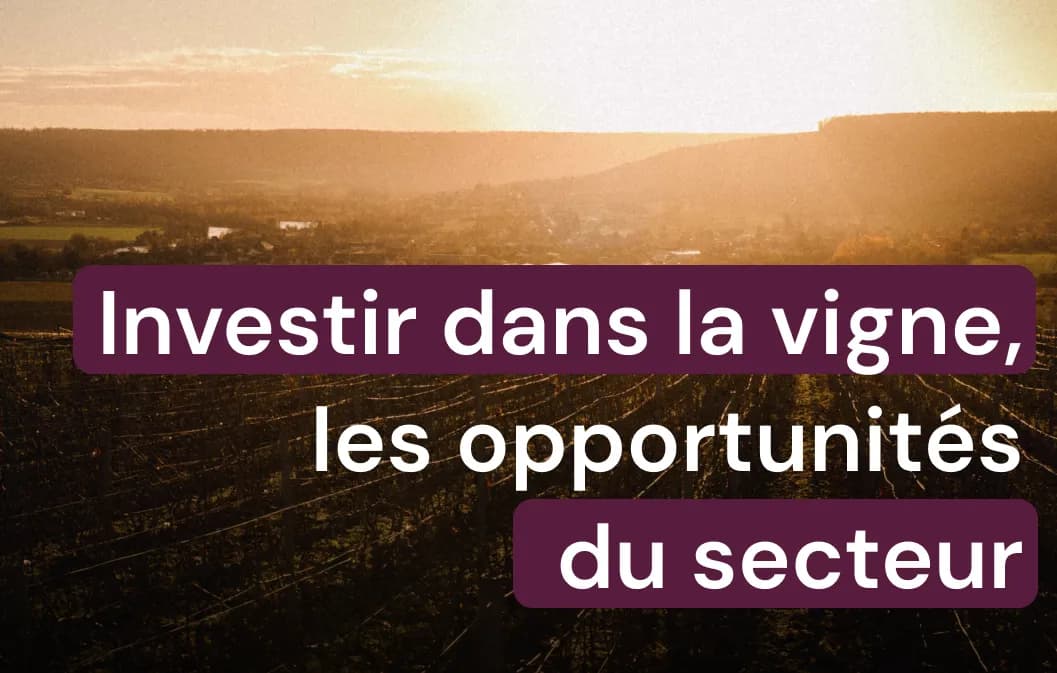 Investir dans la vigne, pourquoi la Champagne attire ?