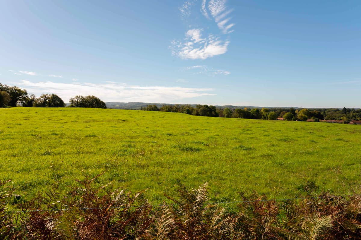 __wf_reserved_inherit