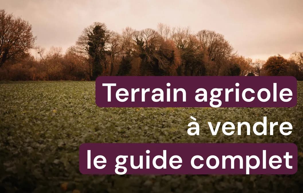 Terrain à vendre agricole : guide complet pour votre achat 2026