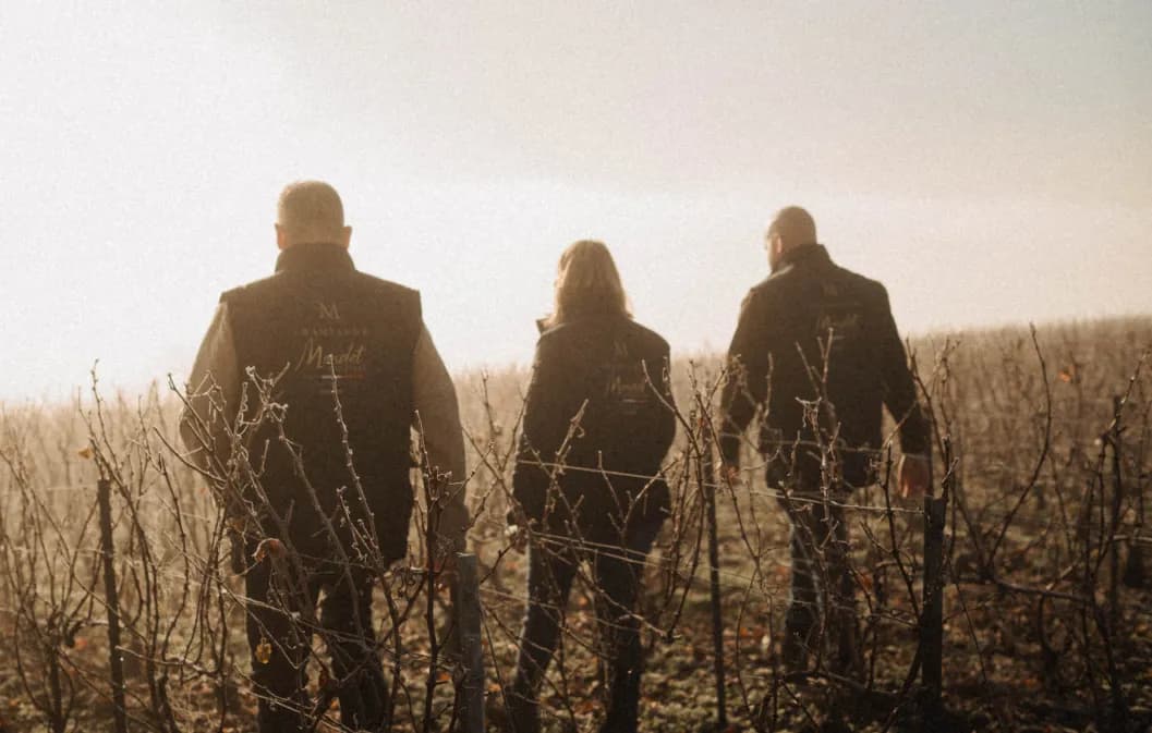 __wf_reserved_inherit