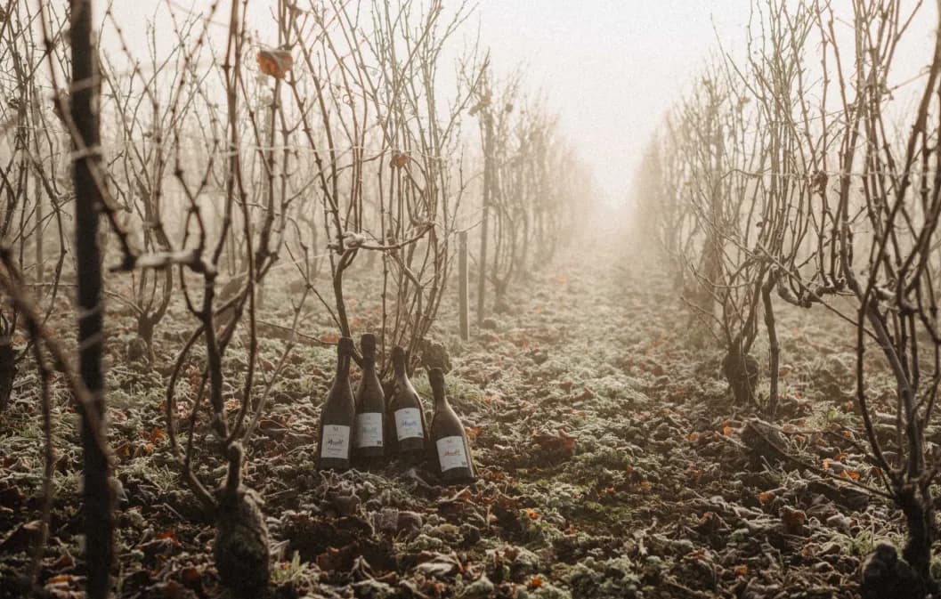 __wf_reserved_inherit