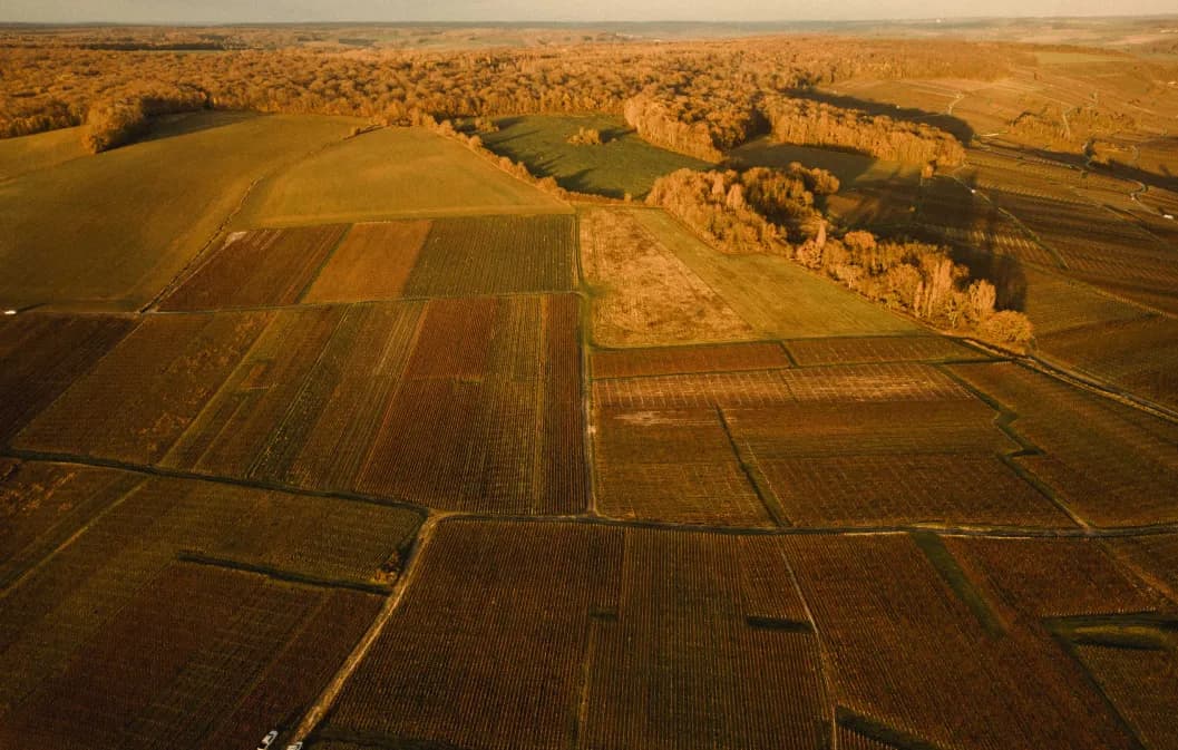 __wf_reserved_inherit