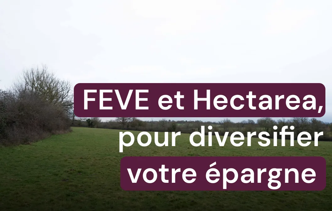 Hectarea et FEVE : diversifier votre épargne agricole