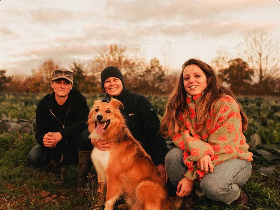 __wf_reserved_inherit