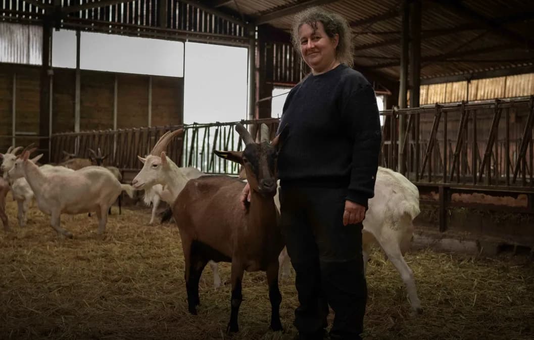 Élevage de chèvres laitières : les clés d'une activité durable et autonome