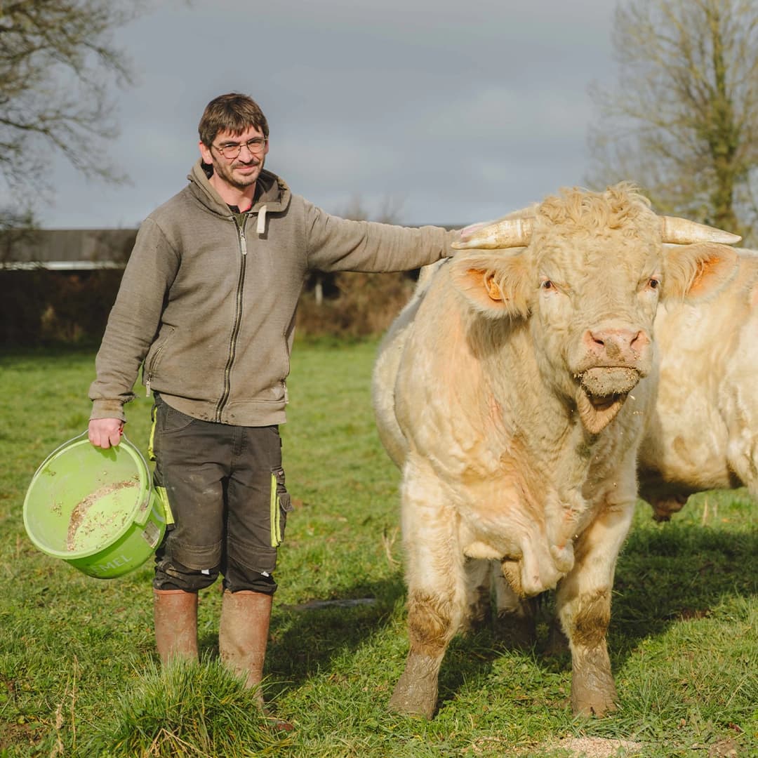 26,3 ha en polyculture et élevage de Charolaises Bio