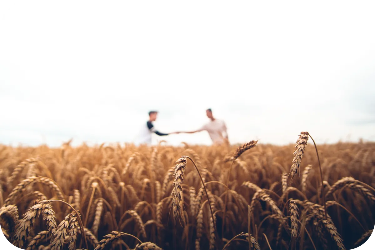 5 bonnes raisons d'investir dans la terre agricole